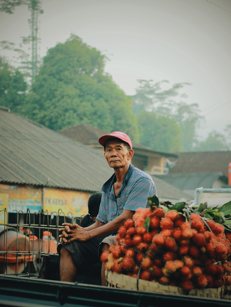 sale, market, business, grandpa, old, rambutan